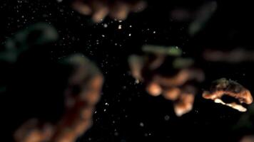 Slow Motion Capture of Fresh Walnuts Being Tossed in the Air Against Dark Background video