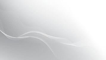 Abstract white and gray color, modern design stripes background with curve lines, wavy pattern, illustration. vector