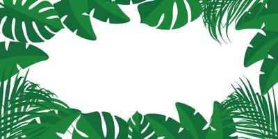 tropical leaves frame with white space for text vector