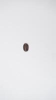 Single Coffee Bean on White Background photo