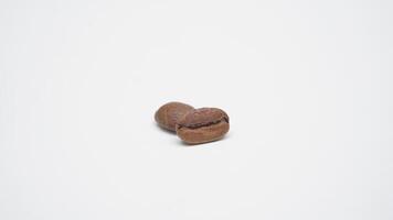 Two Coffee Beans on White Background photo