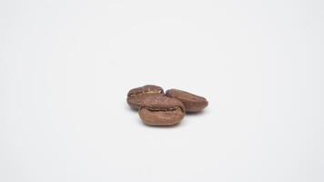Three Brown Coffee Beans on White Background photo