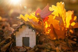 Miniature wooden house with yellow leaves on a sunny autumn day photo