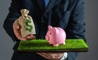A businessman hands a dollar money bag to a piggy bank that is released on the grass. Saving money, investment strategies, wealth accumulation. Smart budgeting, and long-term financial planning. photo