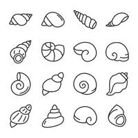 A set of seashells drawn in black vector