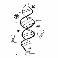 Glowing abstract DNA helix representing organizational structure concept as A close up shot of a glowing abstract DNA helix symbolizing organizational structure and operational man pure vector