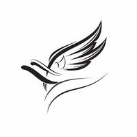 Plus Size Model Wings with Freedom Text concept as An abstract showing wings representing plus size models with the word Freedom in a flowing script The elements are isolat pure vector