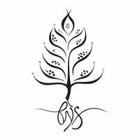 Plus Size Model Tree with Roots Text concept as An abstract featuring a tree with roots symbolizing plus size models with the word Roots in a bold flowing script The elemen pure vector