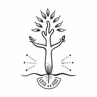 Same Parent Roots with Growth Text concept as An isolated of a tree with roots representing same parents and the word Growth in a dynamic font This image symbolizes the gro pure vector