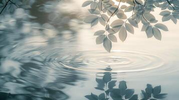 Serene water surface reflecting soft light through leafy branches in a tranquil natural setting photo