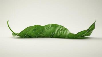 A vibrant green leaf elegantly curled on a neutral background, showcasing its natural beauty photo