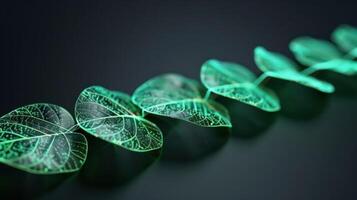 Delicate green leaves arranged in a line against a dark background, showcasing intricate veins photo