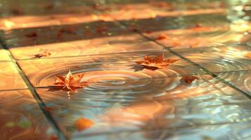 Autumn leaves floating on a serene water surface, reflecting warm sunlight in a tranquil setting photo