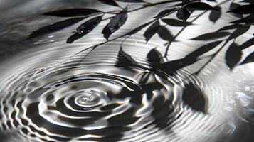 Tranquil water surface reflecting shadows of leaves, creating a serene natural scene photo