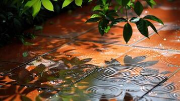 Rainwater pooling on terracotta tiles, surrounded by lush green foliage, creating a serene atmosphere photo