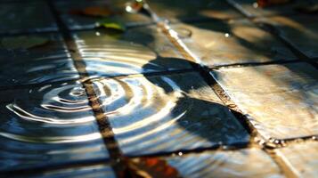 Rippling water reflections on tiled surface with fallen leaves in serene outdoor setting photo