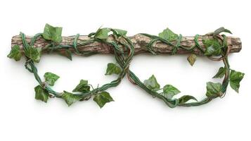 Green ivy vines entwined around a rustic wooden log, set against a clean white background photo