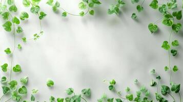 Lush green ivy leaves framing a serene, light background, ideal for nature-themed designs photo