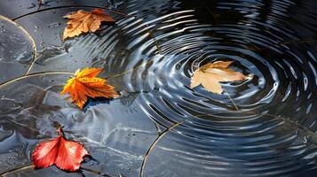 Autumn leaves floating on water surface, creating ripples, with a serene garden backdrop photo