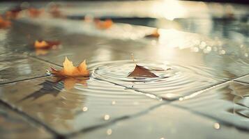 Autumn leaves floating on water surface, creating ripples in a tranquil outdoor setting photo