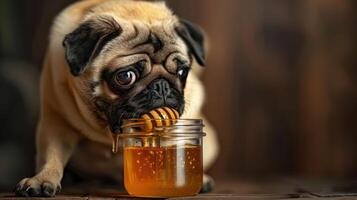 A playful pug dog enjoying honey from a jar, set against a warm, rustic wooden background photo