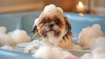 Adorable small dog enjoying a bubbly bath in a cozy bathroom with soft lighting and candles photo