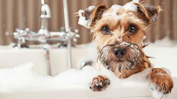 A playful dog enjoying a bubbly bath in a cozy bathroom, with soap suds and fixtures in the background photo