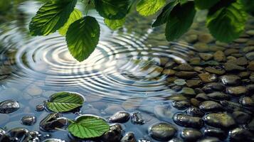 Serene water surface with ripples, pebbles, and green leaves reflecting sunlight in nature photo