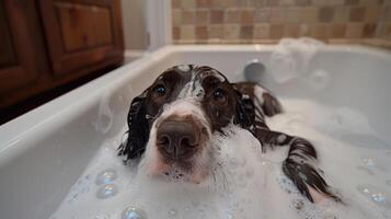 A playful dog enjoying a bubble bath in a cozy bathroom with tiled walls and warm lighting photo