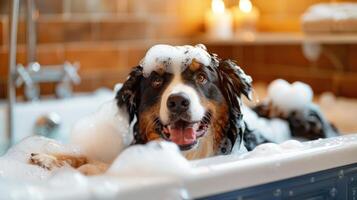 Happy dog enjoying a bubble bath in a cozy bathroom with warm lighting and tiles photo