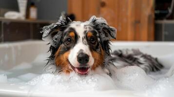 Dog enjoying a relaxing bath with bubbles in a cozy bathroom setting, playful atmosphere photo