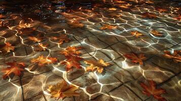 Autumn leaves floating on a tranquil water surface with light reflections in a serene setting photo