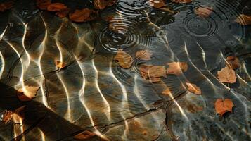 Tranquil water surface reflecting sunlight with autumn leaves floating, creating a serene scene photo