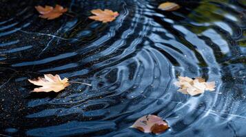 Autumn leaves floating on tranquil water surface, creating ripples, serene nature scene photo