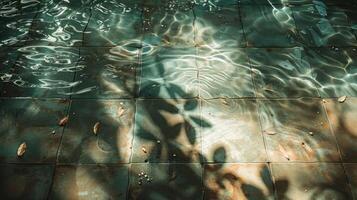 Tranquil water surface reflecting sunlight with scattered leaves on tiled ground in serene setting photo