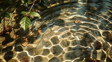 Calm water surface reflecting sunlight with leaves floating, creating a serene natural scene photo