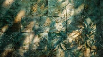 Abstract textured wall with shadows of plants, creating a serene atmosphere in nature photo