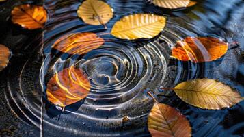 Autumn leaves floating on tranquil water surface, creating ripples in a serene natural setting photo