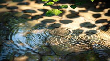 Rippling water over textured stones with leaves casting shadows in a serene outdoor setting photo