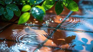 Raindrops create ripples on terracotta tiles, surrounded by lush green leaves in a serene garden photo