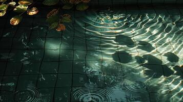 Serene water surface reflecting light with ripples, surrounded by green leaves in a tranquil setting photo
