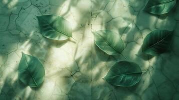 Lush green leaves scattered on a textured surface, illuminated by soft sunlight filtering through photo