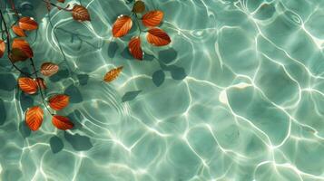 Tranquil water surface with autumn leaves floating, reflecting light in serene natural setting photo