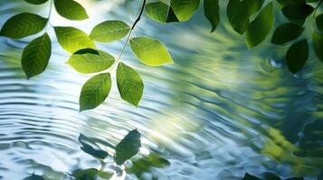 Lush green leaves gently hanging over a serene water surface with soft ripples reflecting light photo