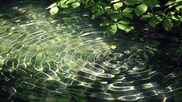 Tranquil ripples on a serene water surface surrounded by lush green leaves in nature photo