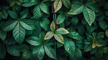 Lush green leaves intertwined with a subtle hint of technology in a serene environment photo