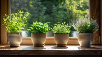 Lush green herbs in decorative pots placed on a sunlit windowsill with a vibrant garden backdrop photo