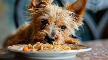 A small dog eagerly devours a plate of spaghetti at a cozy dining table with soft background photo