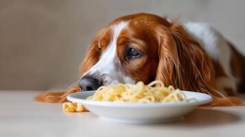 A curious dog gazes longingly at a plate of spaghetti on a wooden table, with a soft background photo