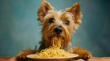 A playful dog enjoying a plate of spaghetti, set against a soft, colorful background photo